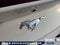 2024 Ford Mustang EcoBoost Premium Convertible
